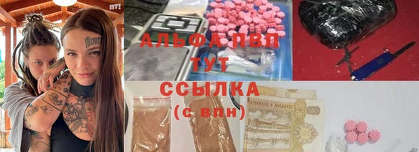 кокс Белокуриха