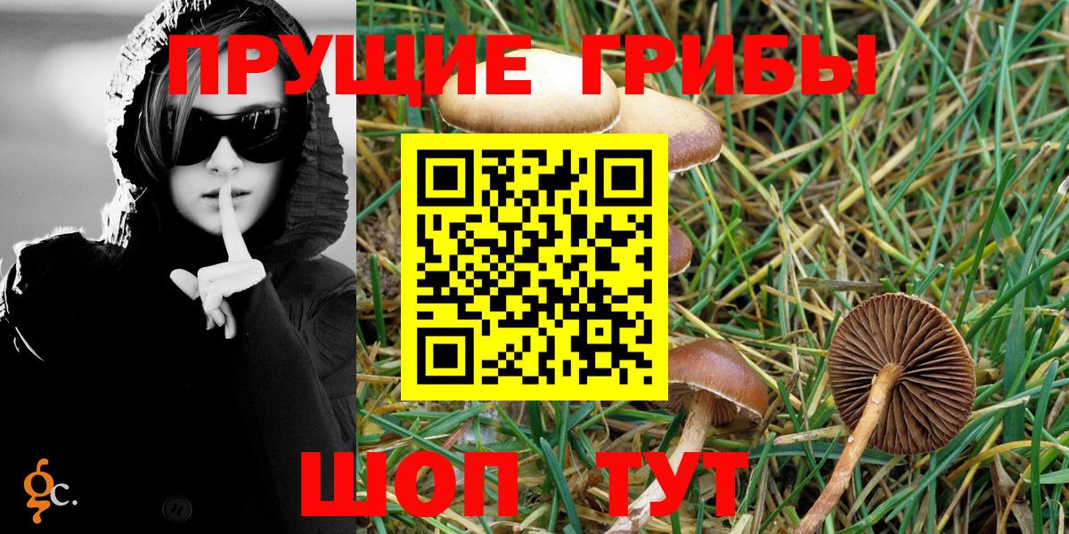 Псилоцибиновые грибы мицелий  Беслан 