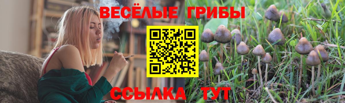 Беслан  Галлюциногенные грибы Psilocybine cubensis  Вход с VPN  Псилоцибиновые грибы GOLDEN TEACHER 